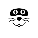 Raccoon Roblox classic face
